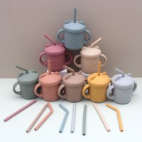 Food Grade Silicone Baby Straw Cup – Heat Resistant Anti-Drop BPA Free – Cartoon Toddler Sippy Cup